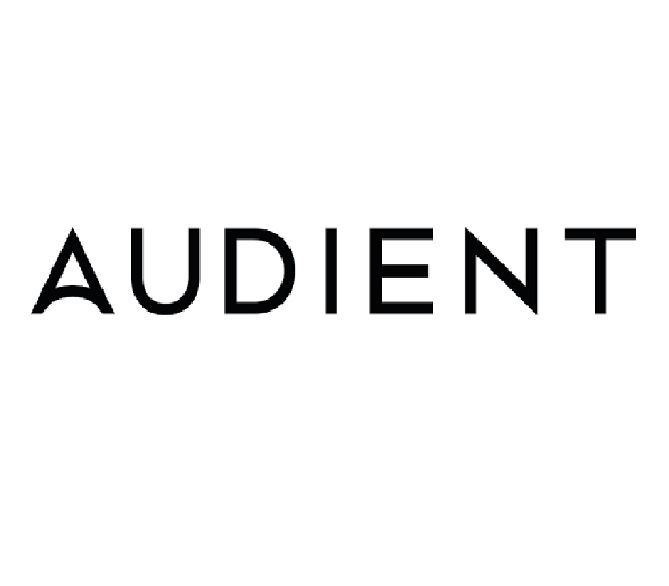 AUDIENT